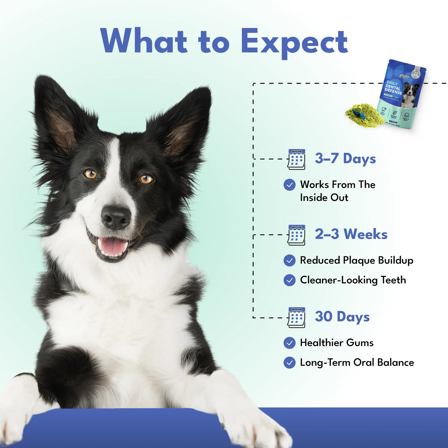 Dental Defense – Oral Microbiome Restoration for Dogs