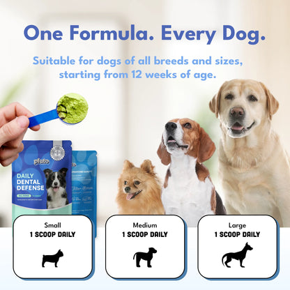 Dental Defense – Oral Microbiome Restoration for Dogs