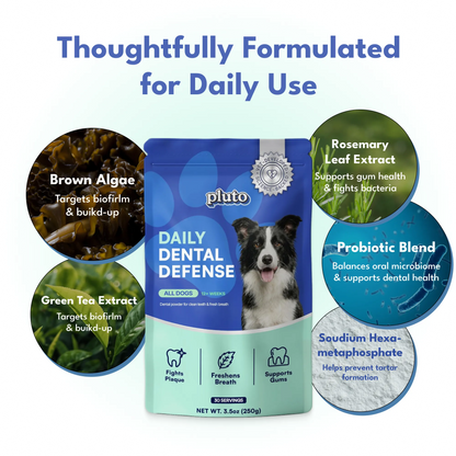 Dental Defense – Oral Microbiome Restoration for Dogs