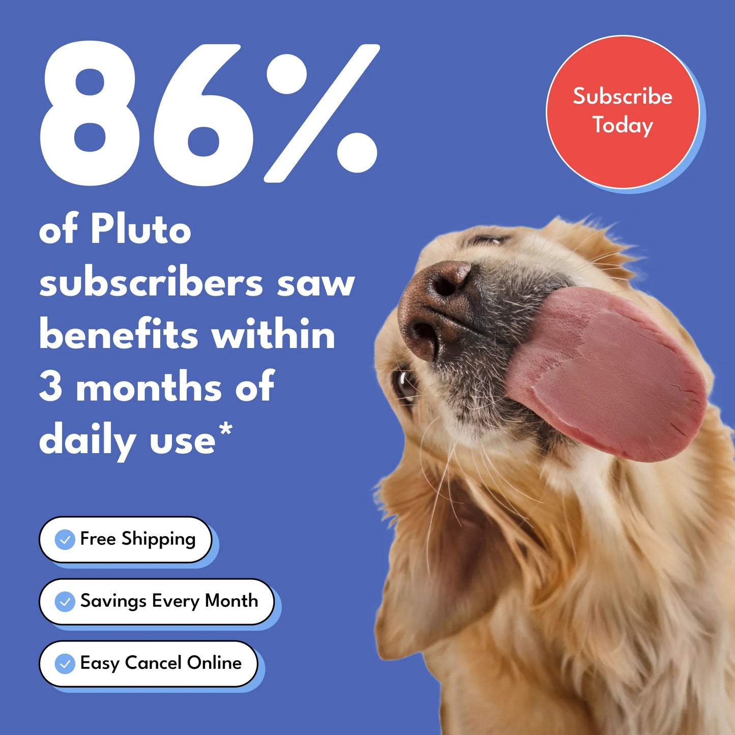 Dental Defense – Oral Microbiome Restoration for Dogs